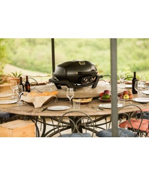 GAS BARBECUE NAPOLEON TRAVELQ PRO285