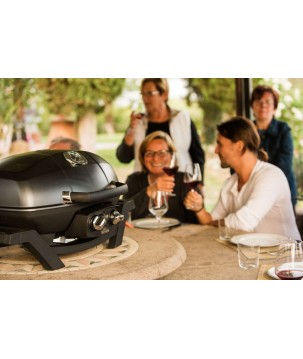 BARBACOA NAPOLEON TRAVELQ PRO285 DE GAS