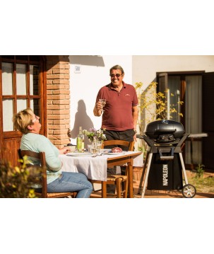 TRAVELQ STAND FOR NAPOLEON TRAVELQ PRO285 BARBECUE
