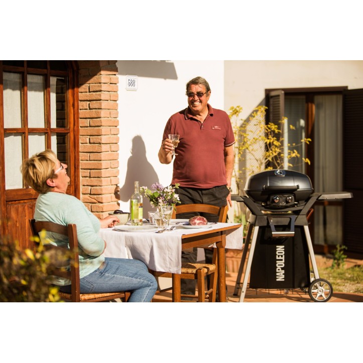 TRAVELQ SOPORTE PARA BARBACOA NAPOLEON TRAVELQ PRO285 TRAVELQ SOPORTE PARA BARBACOA NAPOLEON TRAVELQ PRO285