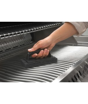 ABRASIVE SCRUBBER NAPOLEON