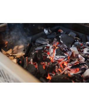 BANDEJA PARA CARBÓN Y AHUMADOR NAPOLEON