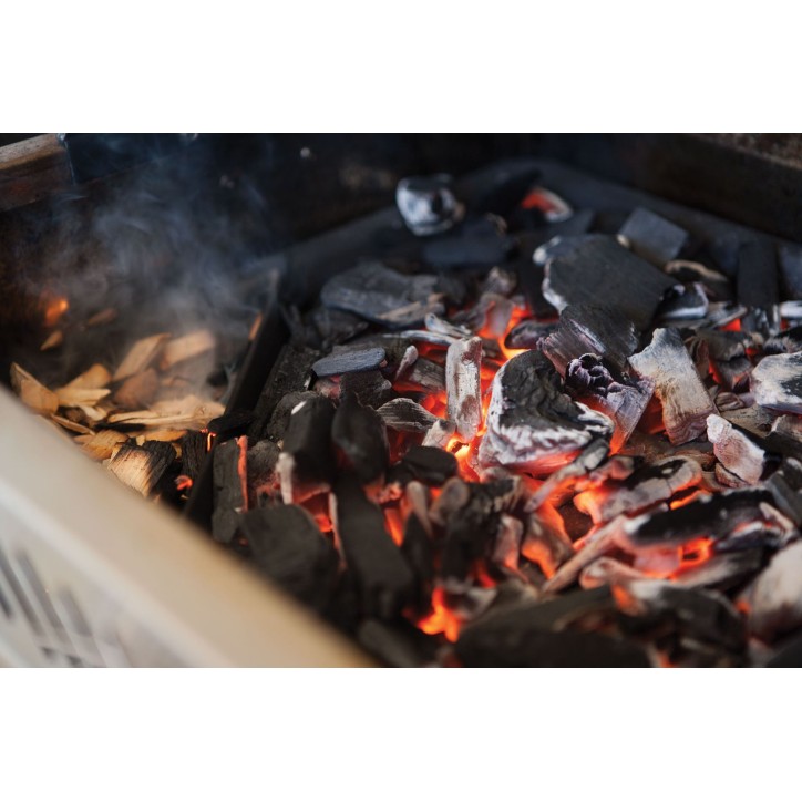 CAST IRON CHARCOAL AND SMOKER TRAY NAPOLEON CAST IRON CHARCOAL AND SMOKER TRAY NAPOLEON