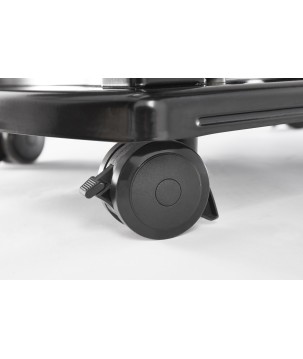 BARBECUE WEBER SPIRIT E-215 GBS BLACK