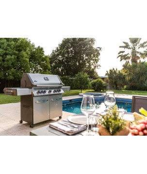 BARBACOA NAPOLEON PRESTIGE 665 CON QUEMADOR LATERAL Y TRASERO INFRARROJOS INOX