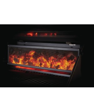 BARBECUE CHARCOAL PROFESSIONAL PRO605 STAINLESS STEEL NAPOLEON