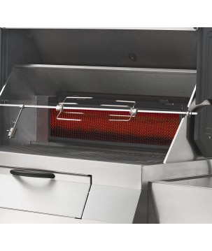 BARBECUE CHARCOAL PROFESSIONAL PRO605 STAINLESS STEEL NAPOLEON