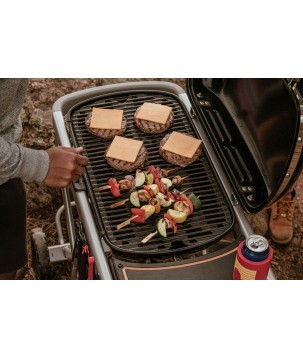 BARBACOA WEBER TRAVELER BLACK