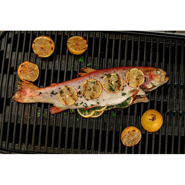 WEBER TRAVELER BARBECUE WEBER TRAVELER BARBECUE