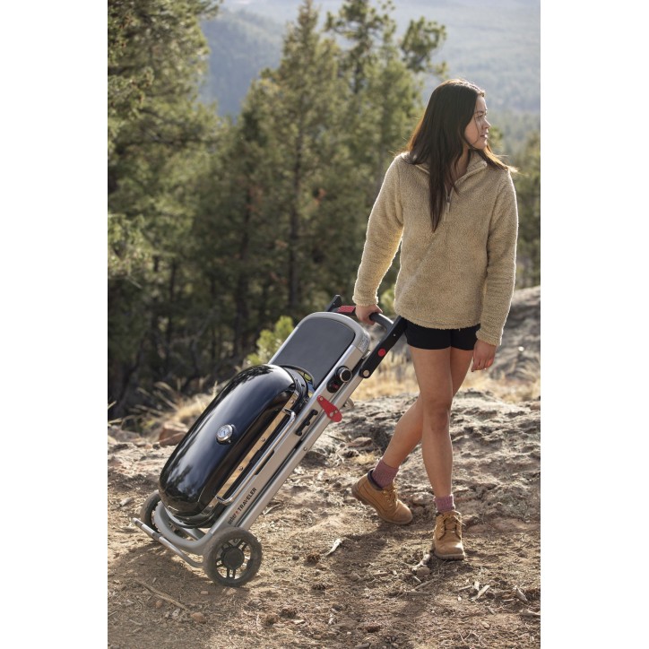 BARBACOA WEBER TRAVELER BARBACOA WEBER TRAVELER
