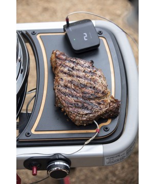 BARBACOA WEBER TRAVELER BLACK