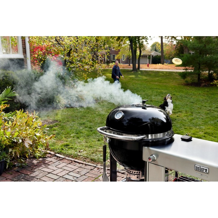 BARBACOA WEBER SUMMIT KAMADO S6 BARBACOA WEBER SUMMIT KAMADO S6
