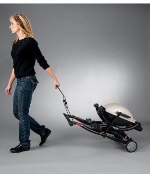 Q PORTABLE GRILL CART WEBER SERIES Q1000 and 2000