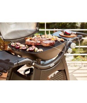 WEBER Q3000 BARBECUE (NOIR)