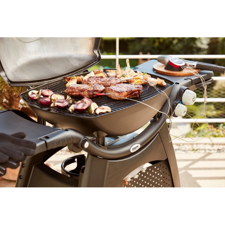 WEBER Q3000 BARBECUE (NOIR) WEBER Q3000 BARBECUE (NOIR)