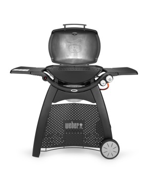 WEBER Q3000 BARBECUE (NOIR)