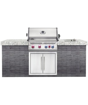BARBACOA NAPOLEON SERIE 700 CON QUEMADOR TRASERO INFRARROJO INOX EMPOTRADA - 80 cm