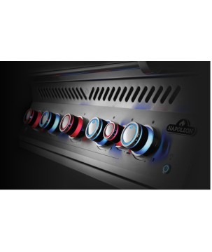 BARBECUE ENCASTRÉ NAPOLEON SERIES 700 À BRÛLEUR ARRIÈRE INFRAROUGE INOX - 110 cm