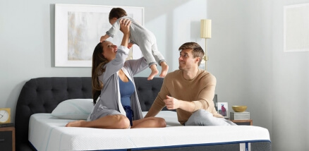 This is Second Post For Themevolty